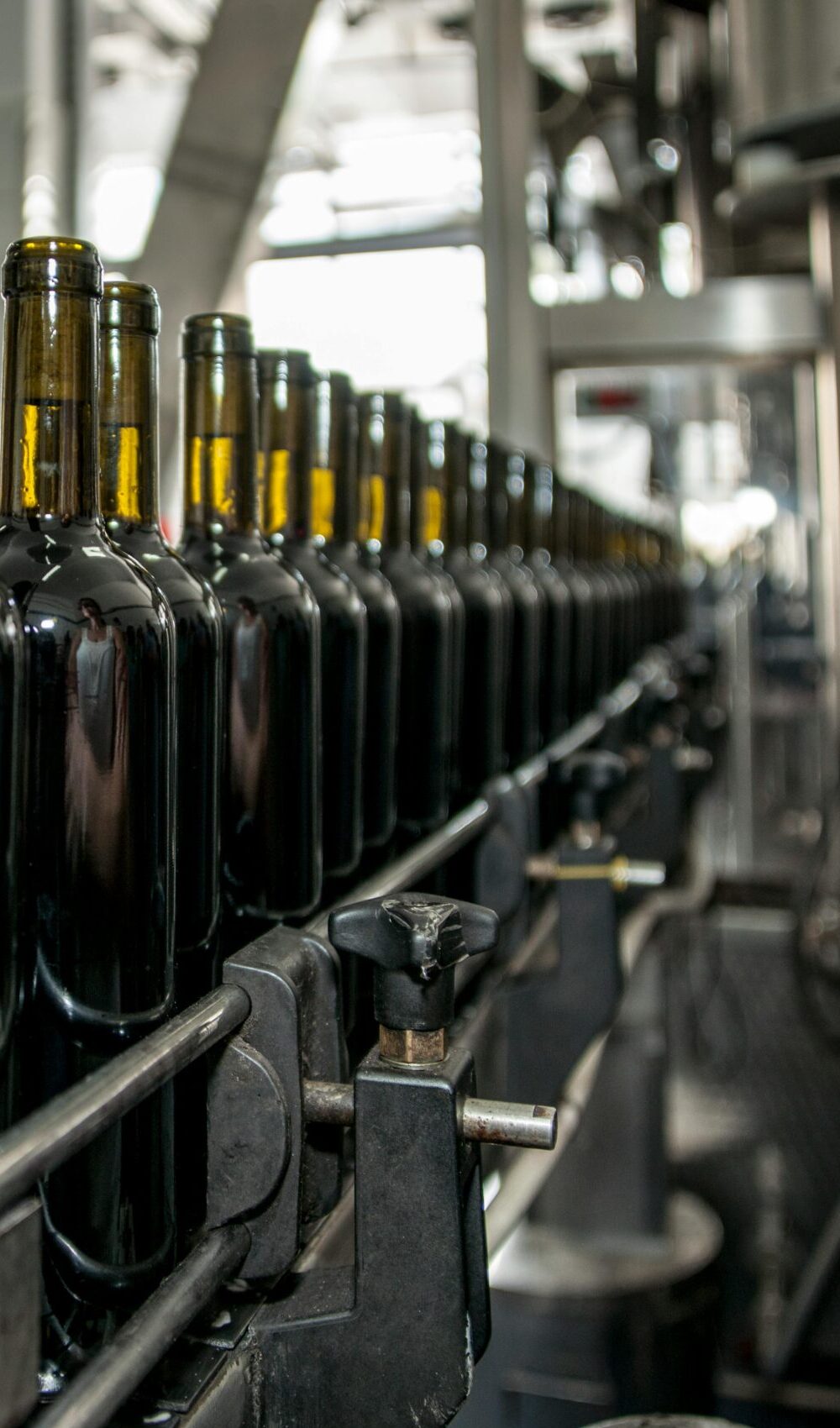 Rows of wine bottles on a production line in an industrial setting.
