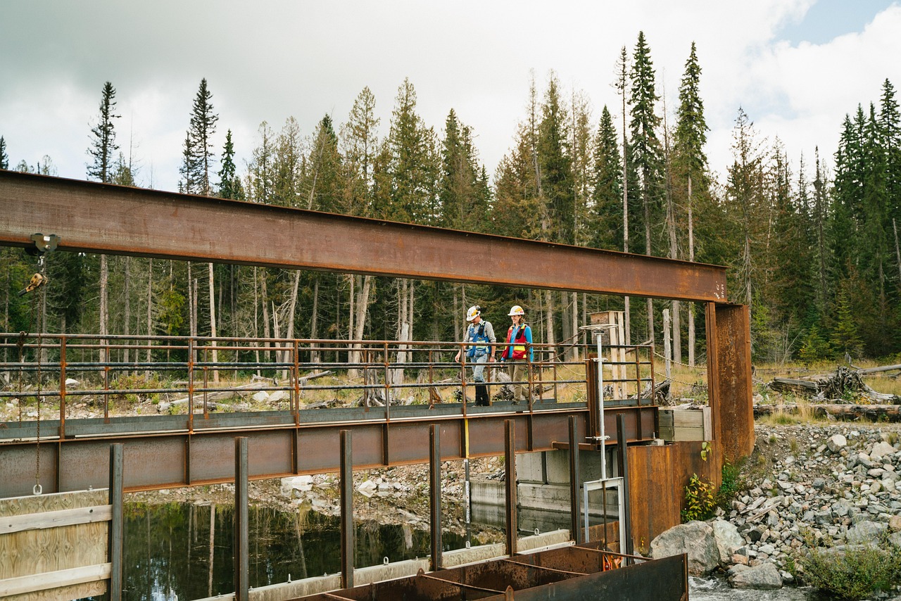 mount polley, environmental workers, environmental science, hazeltine creek, environmental science, environmental science, environmental science, environmental science, environmental science